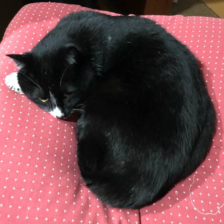 564e8ce1 3182 48ea 8ba1 e2b4ace74ae0 1581565617054