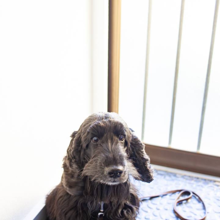 564ea0a9 f4d1 4e4c b6d6 923d0e1e08a1 1548765178574