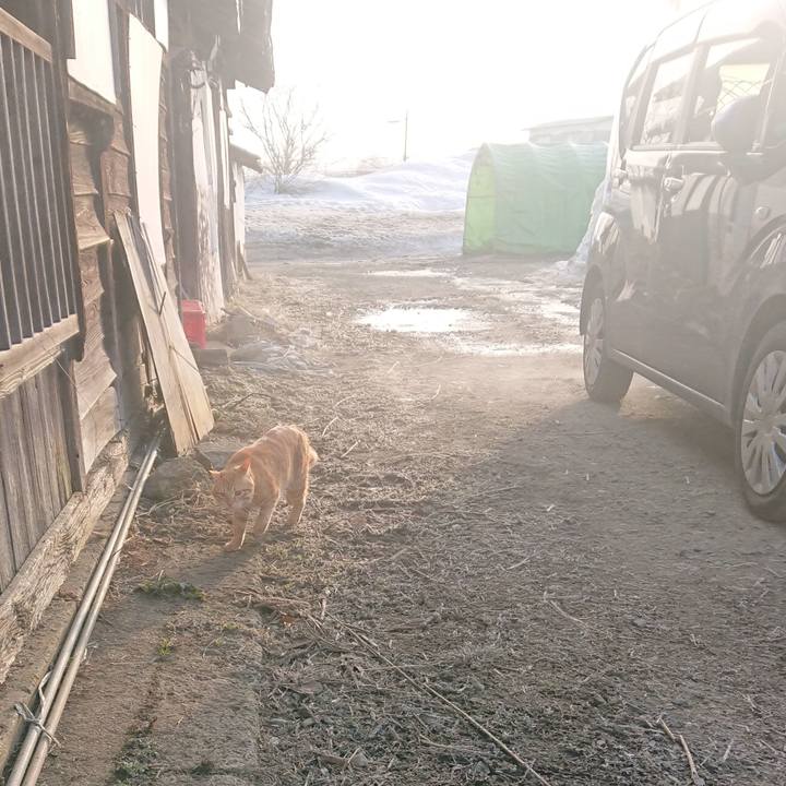 564eec05 0fe0 4aa6 872e 31b97584a27f 1646950513507