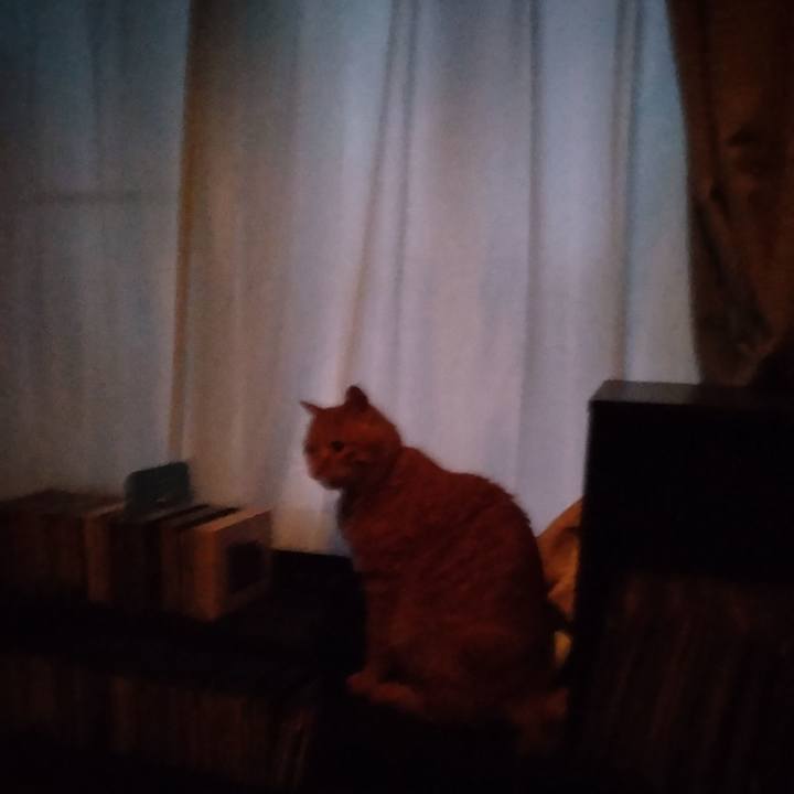 564f18c4 bccc 4581 b665 c929bad2fd69 1674340186504