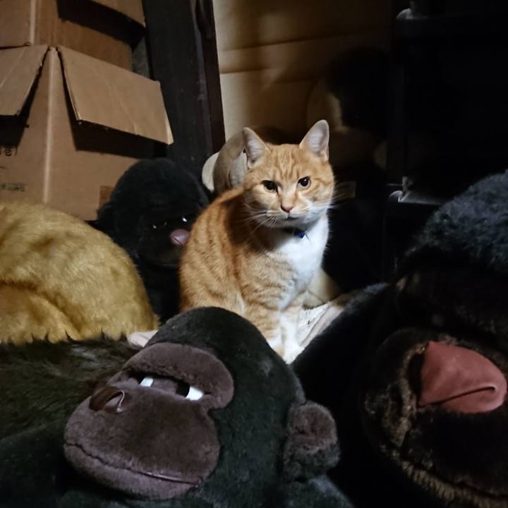 564f20a7 62fb 453a 9ecd 93b428489663 1607420079528