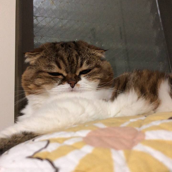 564f58b4 861a 4978 8cd4 6588eb429bfd 1537488281979