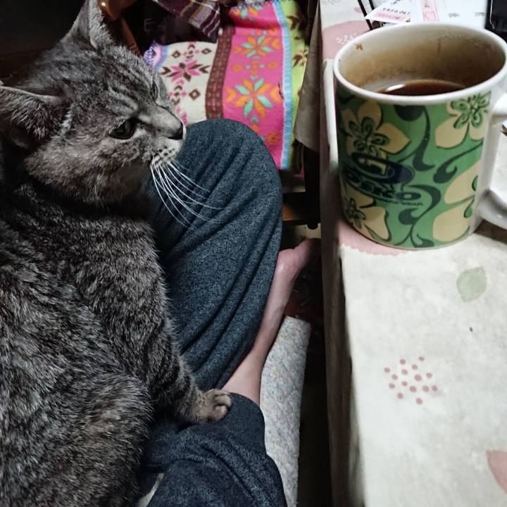 564f661a 819d 4224 8bd2 7d586f2a372e 1578599929107