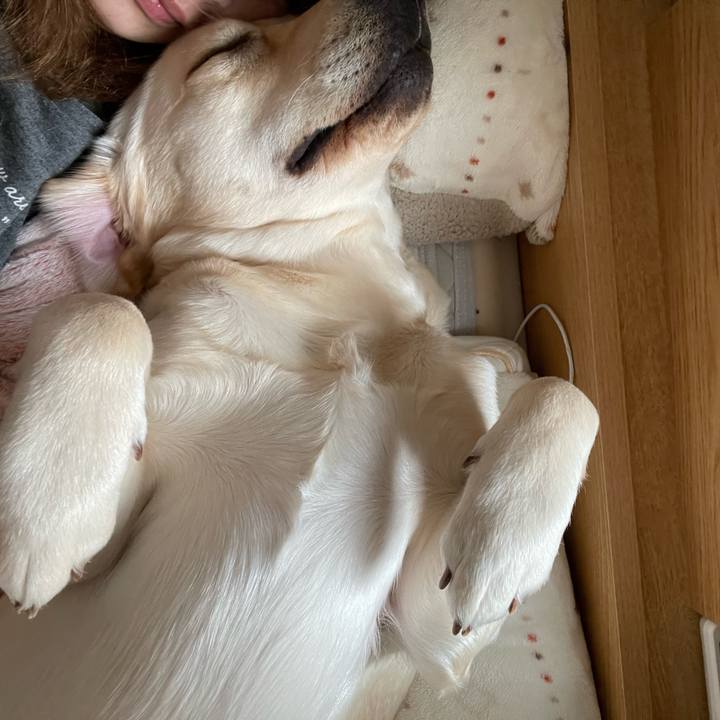 564f6ad9 663b 4656 b59c 9ee51e2d2939 1647527531220