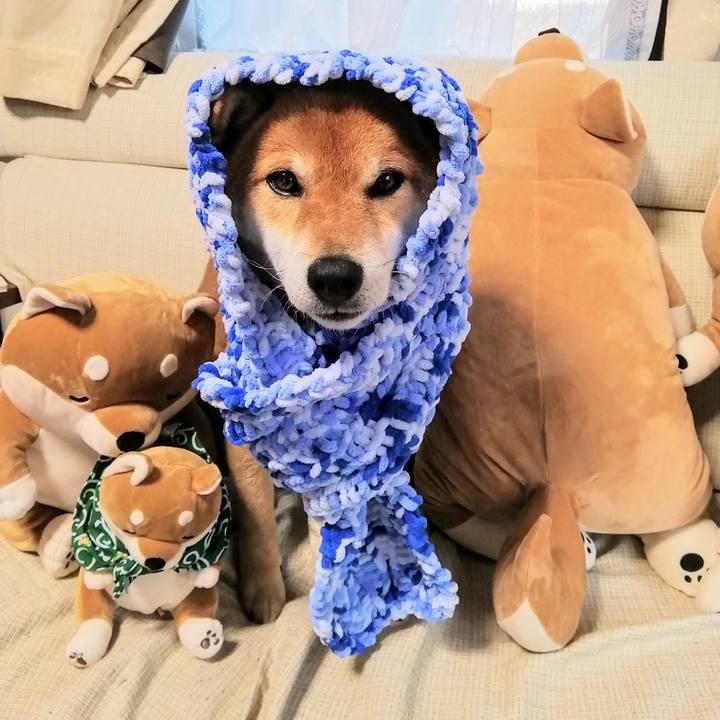 564f7c44 c63e 4a1b 859e ea4fa27938e1 1583484379021