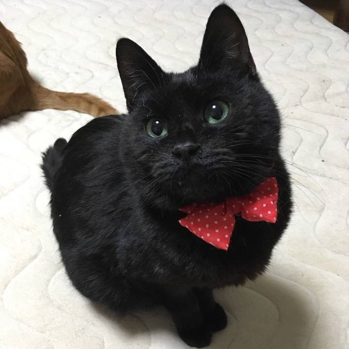 564f942a 2941 4e18 8f47 f8275e84accb 1695811498140