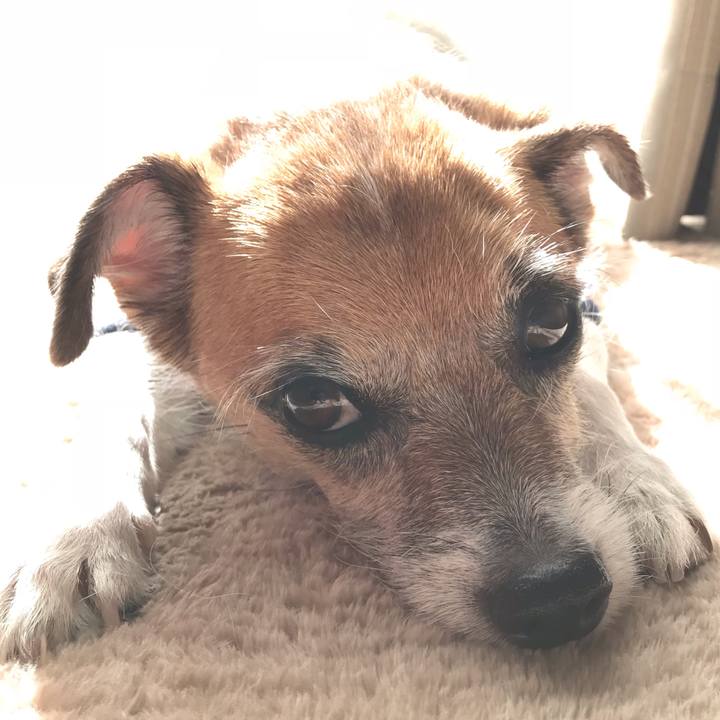 564f972c b2f1 474d aaf7 8d13fef0030c 1541134843302