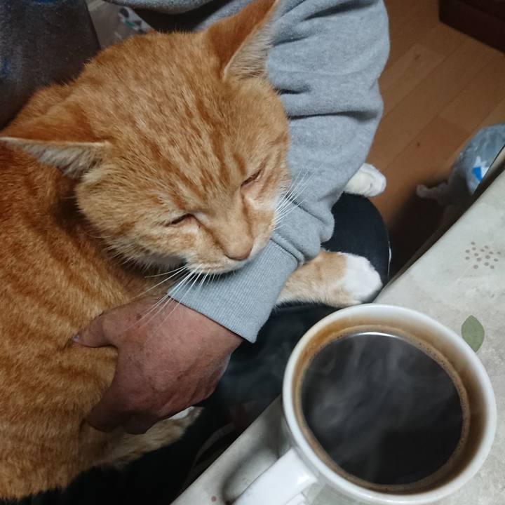 564f9d08 69a6 47cc 80af 4c4c4f2106d7 1605038023799