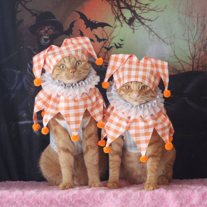 564fba52 8cbf 4072 94c7 b1a92150a707 1695889899522