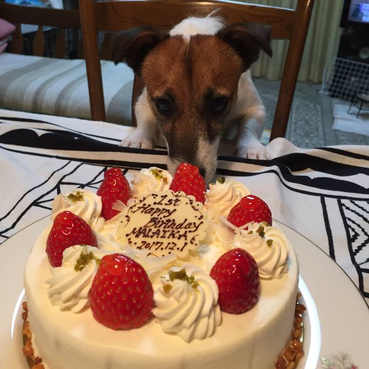 564fce6a cdce 4fab 932f 9d8f5c811233 1512130650939