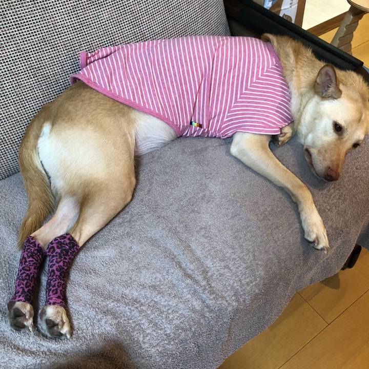 56501c0f 67ba 46d5 b323 91efd5c62c2f 1698826394218