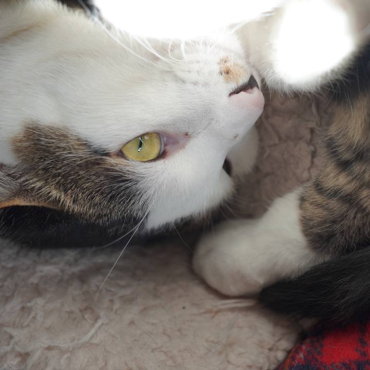 56502a38 70c1 40c8 8345 ac224d816529 1608384478537