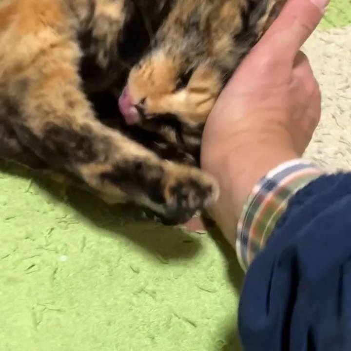 5650339e 249f 4771 a476 ffe2e3fad93c 1740657040746