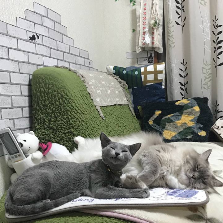 5650556d c0e1 4b1f 8d80 16ff96bdac6c 1512227994729