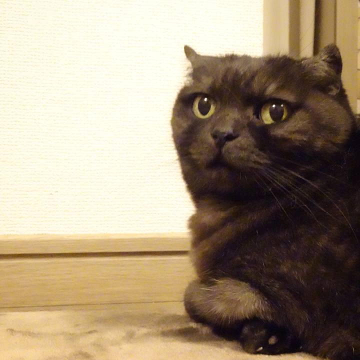 56506b23 71f9 4d4d 938d 7fb4f0e3f5a1 1588770927315