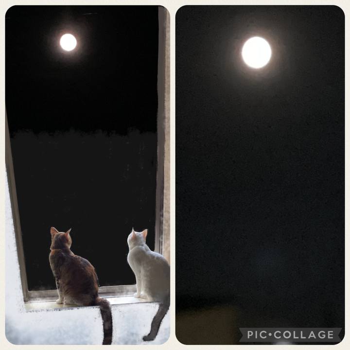 56507978 dbc2 418f b8ce bf63d8b7db54 1726569798691