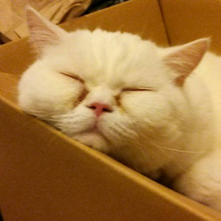 565087c7 cddc 42a6 b472 423209be84f3 1556352487974