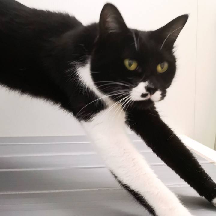 5650959e cf9d 4045 86cb 650096b5e680 1549128767679