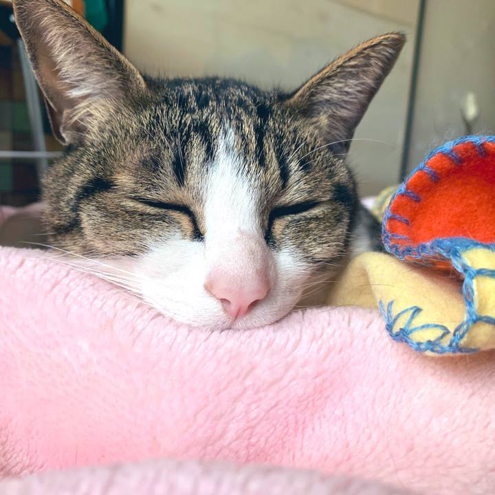 5650bfcf 1664 4a1e 9abf c3e868c54099 1550029973415