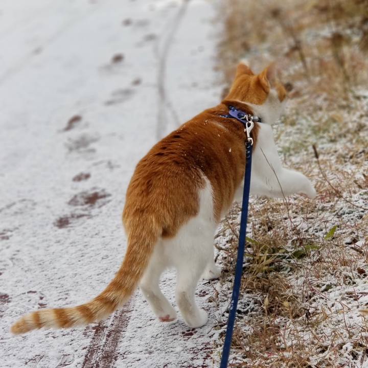 565105c2 b66b 4e0f 9385 cc0aabebbf3f 1546069135947