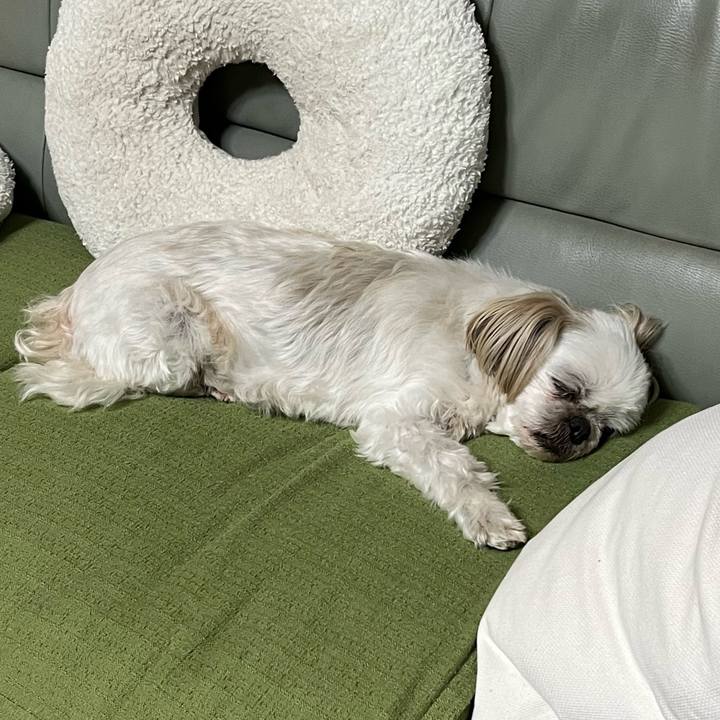 5651162d 6d00 4e94 81d1 ff00a9c0a3cb 1684237437212