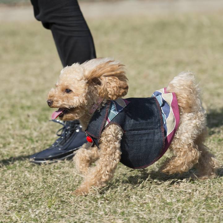 56513cdd ed8a 473a b426 9c0cb0487bc0 1542557851665