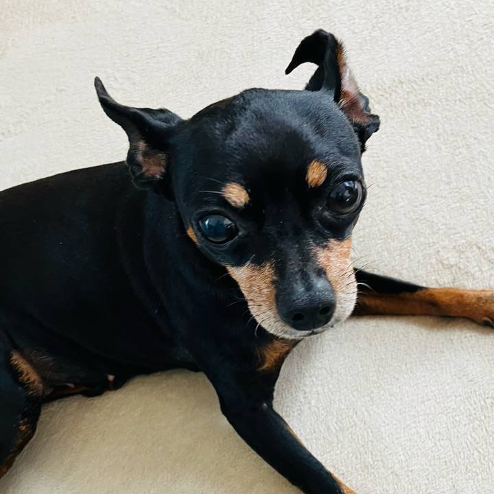 56514876 4a8c 4bbf 872e acf25cfaf152 1767740422787