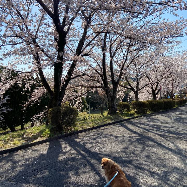 5651510c 20f5 4cce 9388 c9dd130d5e16 1586131703187