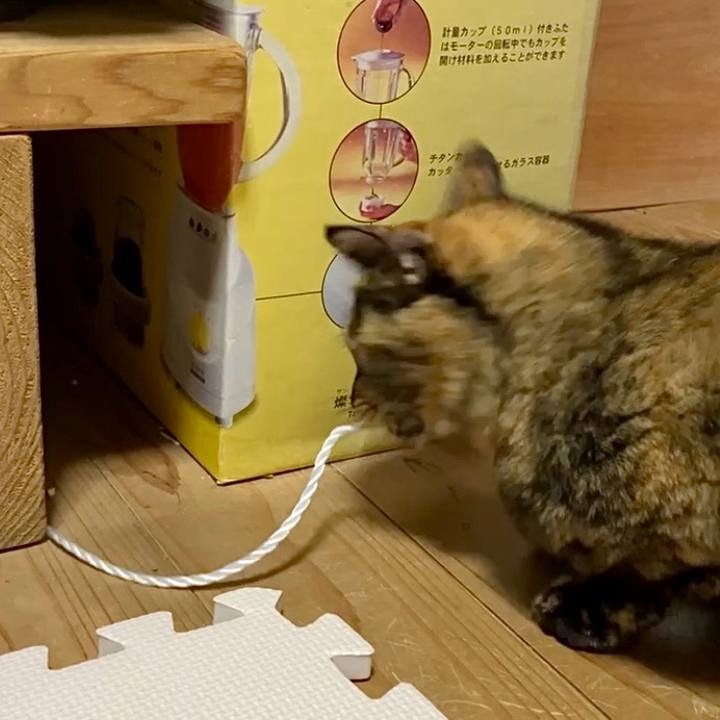 565152c7 daba 4362 a4c5 2dadf4bfffa8 1732692314974