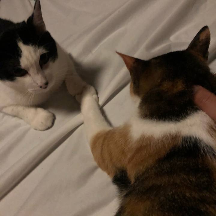 56516ee0 2de6 4fe5 b487 1dc17288d6ed 1591387552368