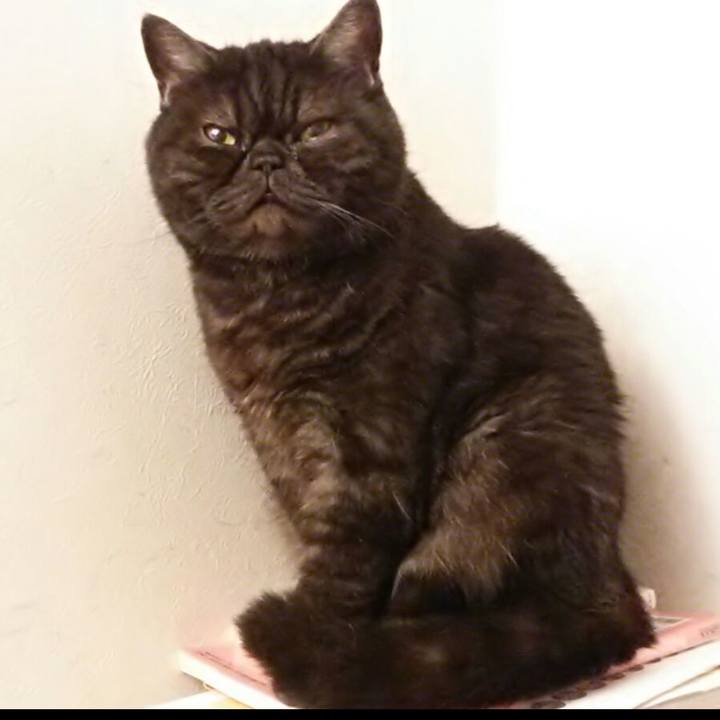 56518520 c6b2 4551 b644 b5edba287311 1719110243310