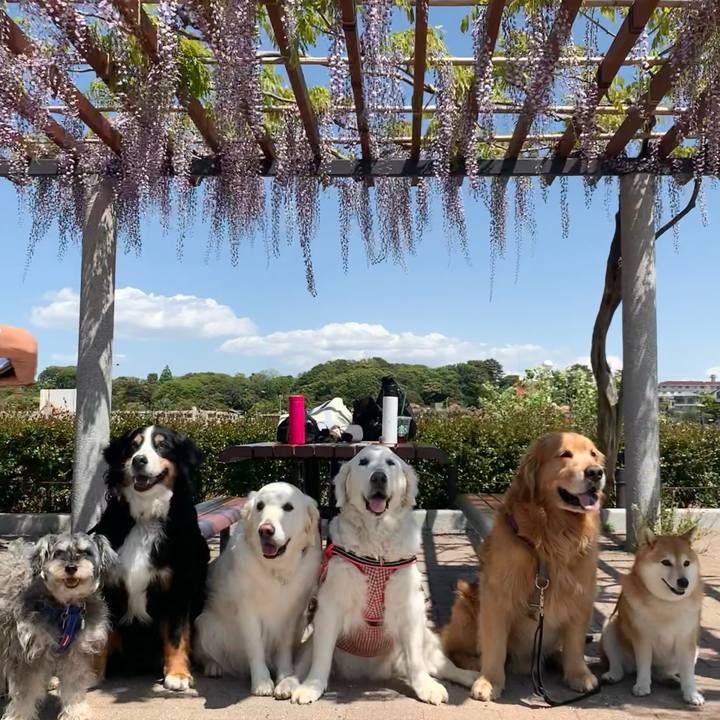 5651962b db84 4f57 8185 5b26389e40fb 1618740280540