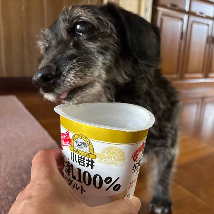 5651f677 7e49 445e 9448 b651cb02d38e 1753572124961