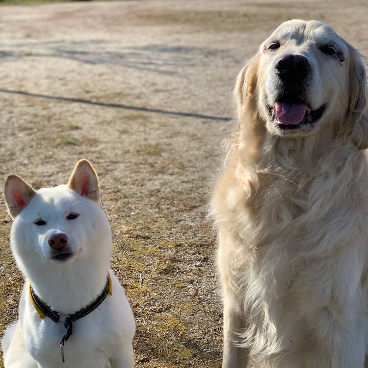 5651fccd bae5 4ed9 a0a2 2816fb244a3e 1555114781874