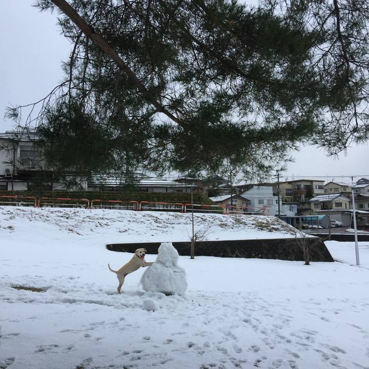 56522a48 35c4 489d 81b1 b238b4d860fc 1734047237351