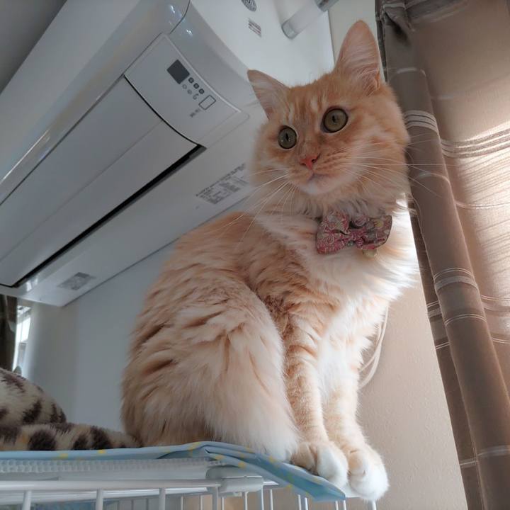 56523f2b 2fbd 4cda a56d 0a87f7b2af97 1670650008242