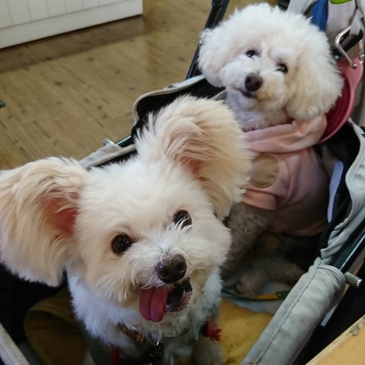 5652835b 0836 4a8b a220 ed153b989235 1571116295910