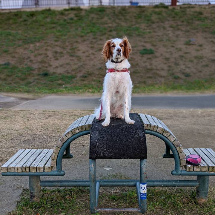 56528e9c d5be 4dd7 b913 4b877ef19116 1639136514541