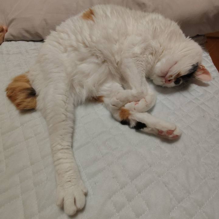 565292ec 7c43 4fdc a0d0 ee28d39e2e96 1752496014892