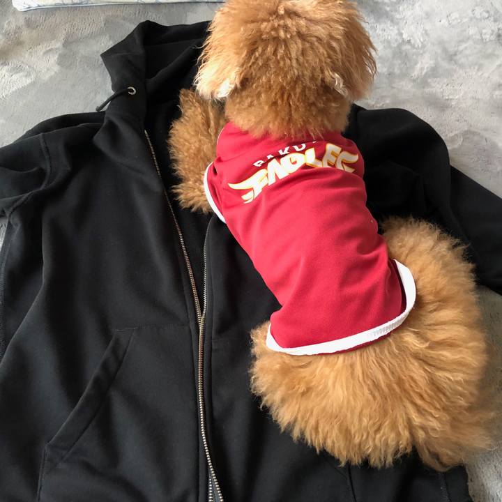 5652cdb9 4b2d 49c0 b989 396a0ca5659e 1559180997415