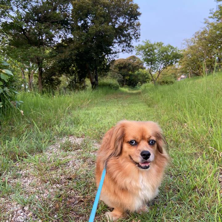 56530033 51f3 4597 a4cd 02f3208d96f2 1597958660093