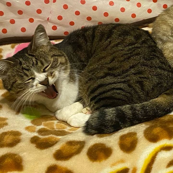 56530db9 d553 4f90 8866 4722ac0b4aae 1617536087887