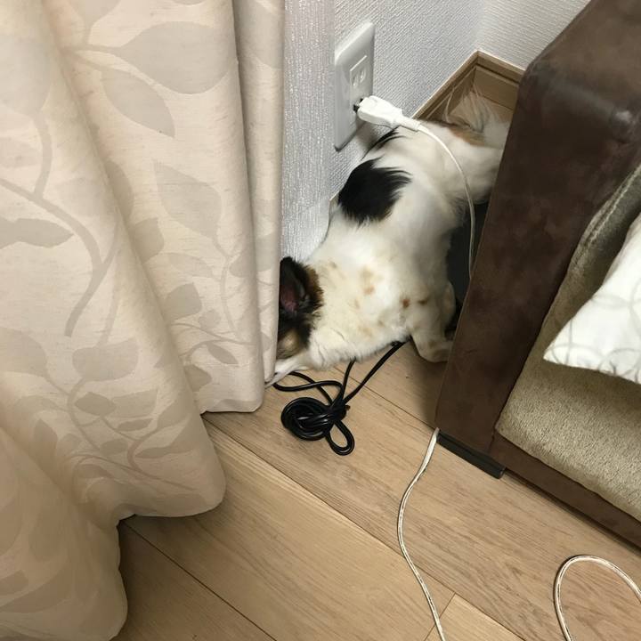 565324a2 1dea 4d4d b4d2 5d9a544801ba 1530440609351