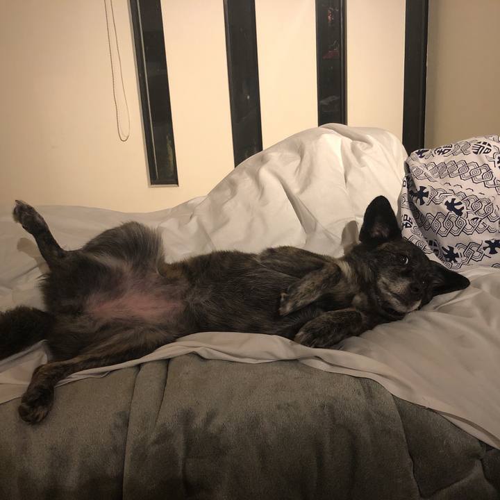 56536052 d66b 43e9 9a38 2b65386d0cf1 1599143304321