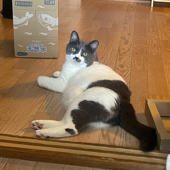 56536612 b322 4769 b80e 6e257b28af61 1751152275311