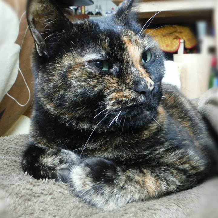 5653664e 3c03 4de6 98dd 399b0bfcd05e 1519789568253