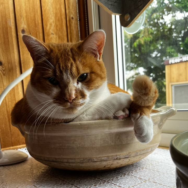 5653726b 97f2 44af 83ee 14b00853460a 1721253529595