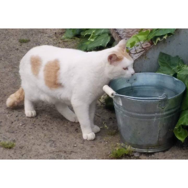 56538072 c7b7 4160 838c 1bb6de4ee570 1653038727001