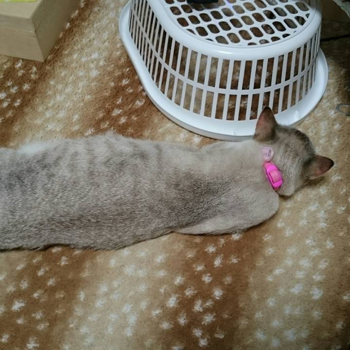 5653a8f6 bbfe 47a7 b989 4042c7715130 1515908922610