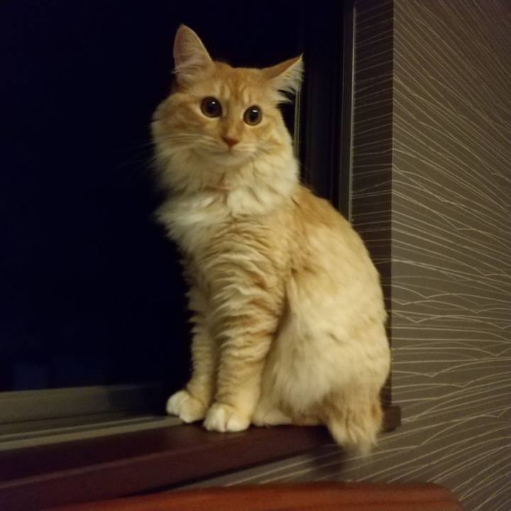 5653c10b 006e 434d a6f5 c74afc6d88e4 1629405486436